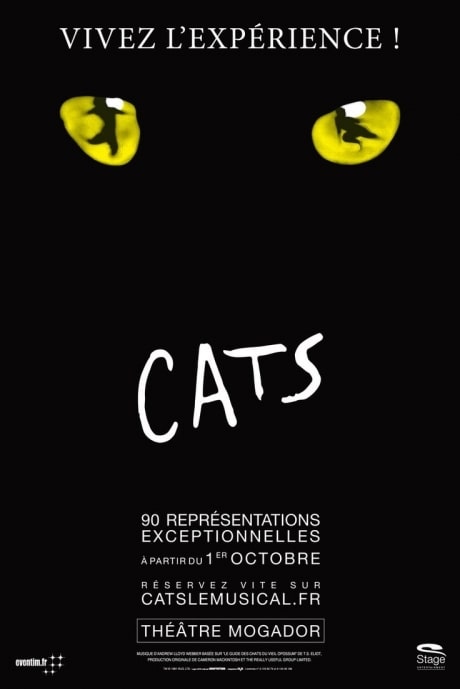 Cats prolonge à Mogador