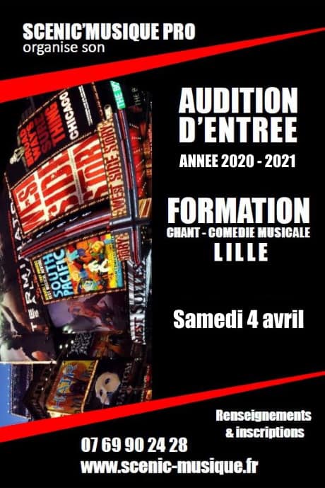 Audition d'entrée 2020-2021 Scénic'musique Pro