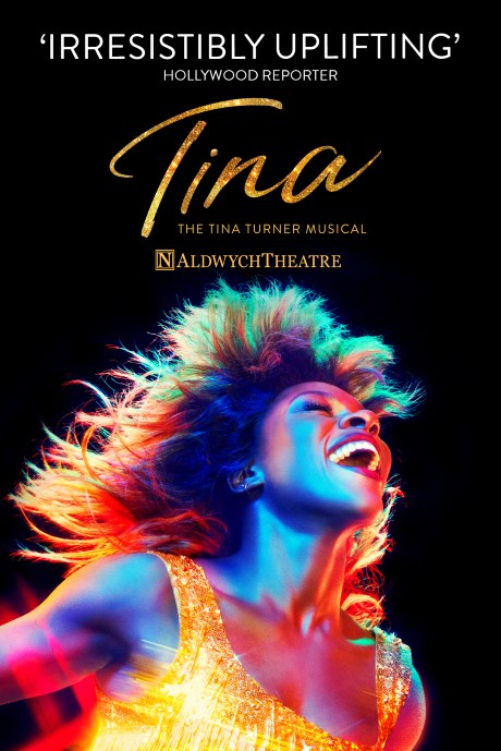 Tina : the Tina Turner musical